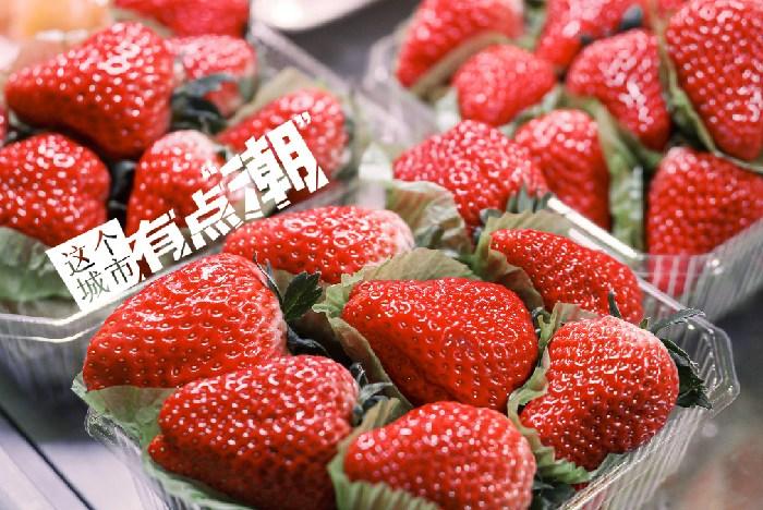 丹東：這一口鮮甜，開(kāi)啟冬日“莓”好時(shí)光
