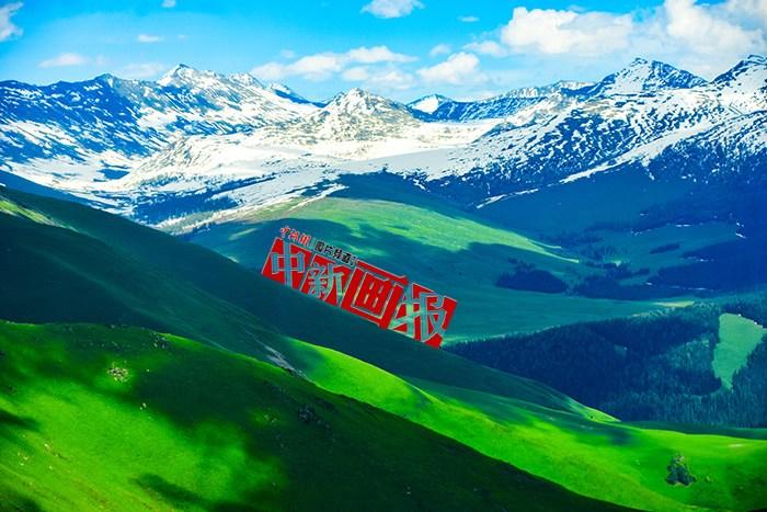 將夏天的“綠” 裝進(jìn)屏幕里，一組護(hù)眼壁紙請(qǐng)查收！