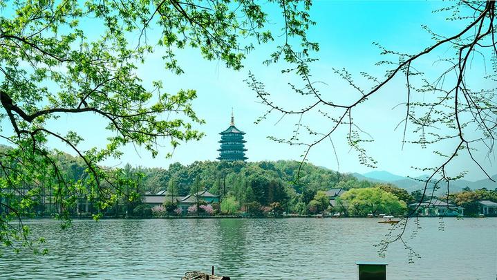 江山如此多嬌 | 西湖美景，八月天吶