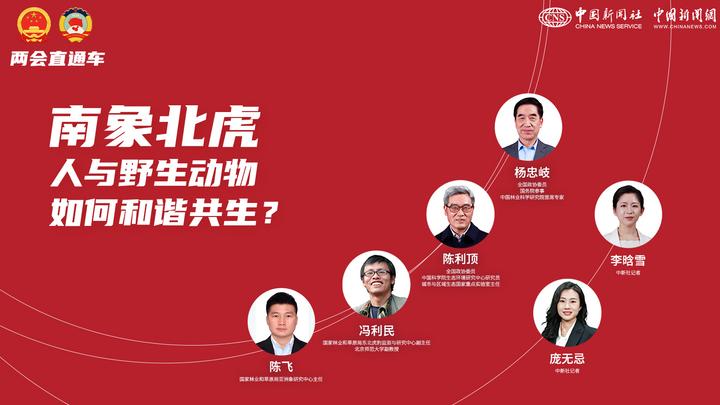 兩會(huì)直通車：南象北虎 人與野生動(dòng)物如何和諧共生？
