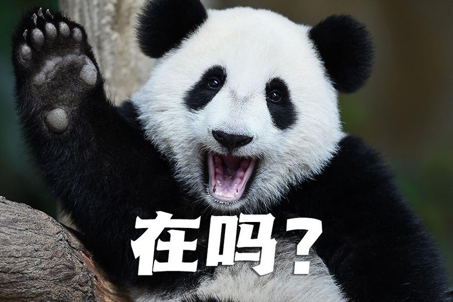 【世界微笑日特刊】嘿嘿，今天你笑了嗎？
